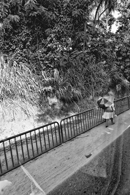 Sri-Lanka - Road between Pinnawala & Kandy